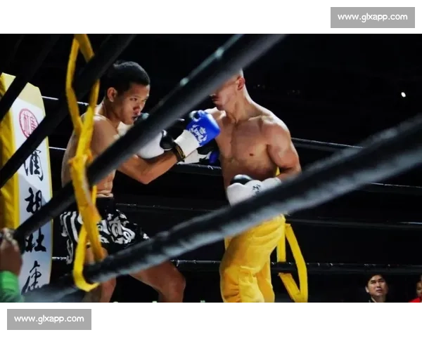 拳击对决互联网力量碰撞下的规则博弈与未来想象产业变革与社会影响