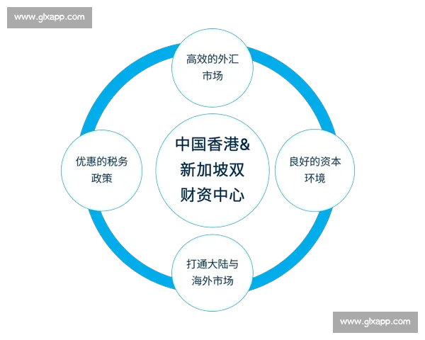 新加坡对阵印尼区域竞争格局与合作前景深度解析东南亚政治经济影响